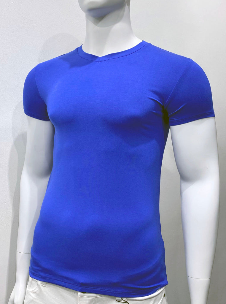 royal blue V-neck T-shirt, as seen from the front.